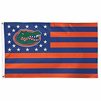 Good price Wholesale Promotional flag 100% Polyester Custom Size Flag online