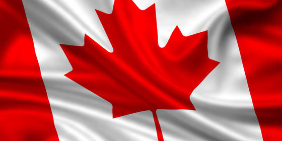 Good price 3x5 Canada National  Polyester Single sided Flag online