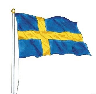 Good price 100% Polyester Dark Blue Swedish Flag With Plastic Hook Sweden Flag online