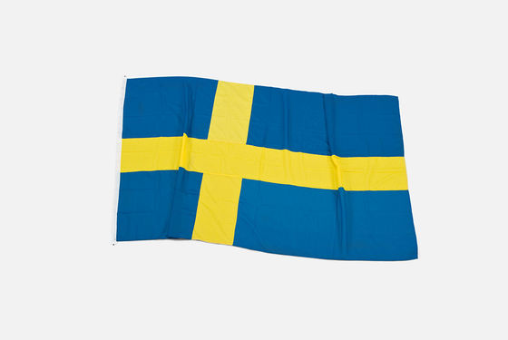 Good price 180 X 300cm All Size Sweden Flag All Counties Flag Europe Country Flag online