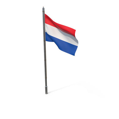 Good price 2025 Factory Hot Sale Netherlands Wooden Pole Hand-Waved Flag For Public Holiday online