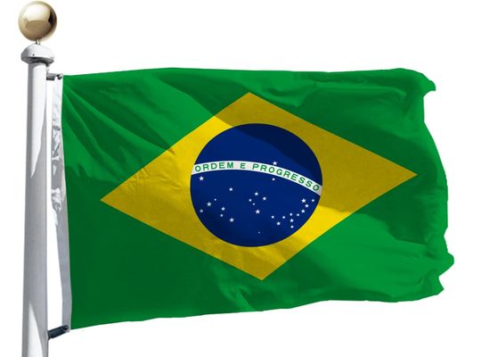 Good price 50 Countries International World Flag National Flags Custom Flags online