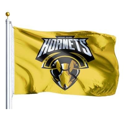 Good price All Country Digital Printing Customized Banner Flags Big Size Custom 3x5 Flag online