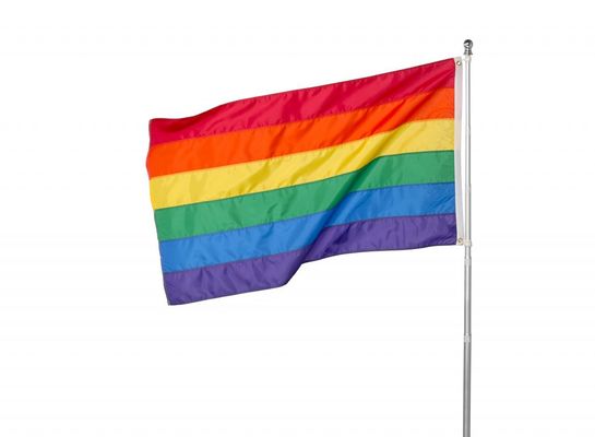 Good price Promotional Cheap Blank Polyester Flags Custom Print Your Logo Double Sided Custom Flags With Logo Custom Print Flag And Banner online