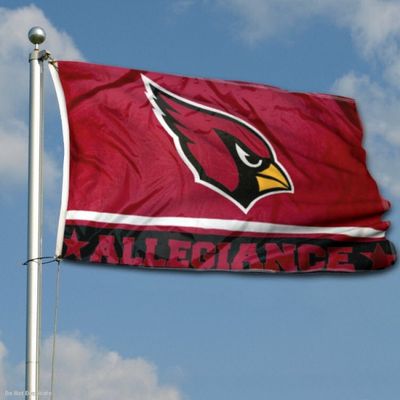Good price 100% Polyester Screen Printed Vote Flag Single Sided Custom Outdoor Indoor online