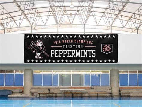 Good price Single Sided Or Double Sided Indoor Display Stands Screen Printed 100% Polyester online