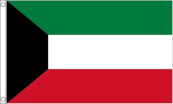 Good price Promotional 100% Polyester Thread Sewing 3x5 Ft Morocco National Flag online